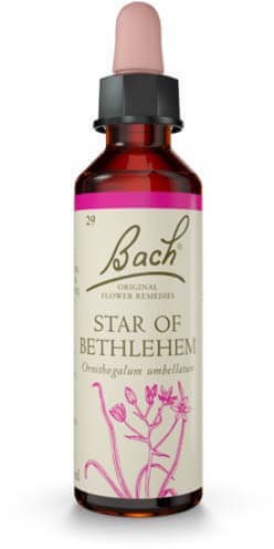 Bach Star of Betlehem 20ml