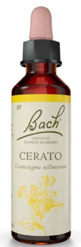 Cerato 20ml i