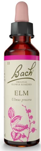 Elm 20ml