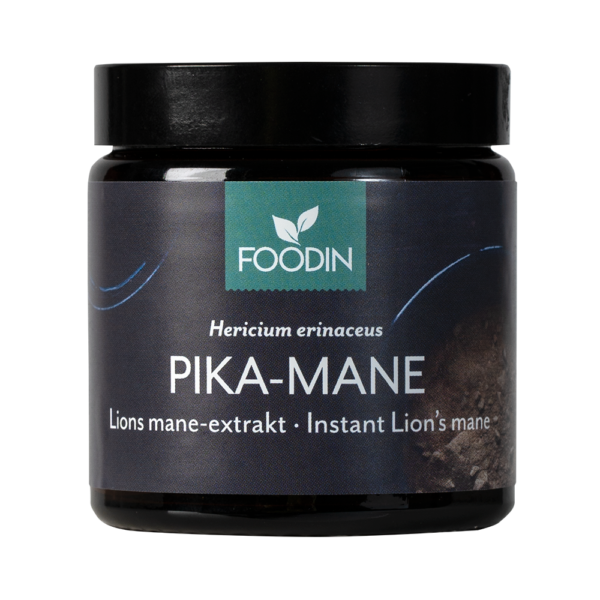 Foodin- Pika- Mane  40g