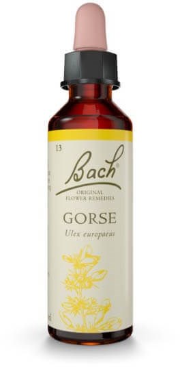 Gorse ( Piikkiherne ) 10ml